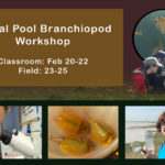 Vernal Pool Branch