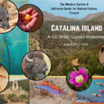 We create places that enhance the human experience. (1)