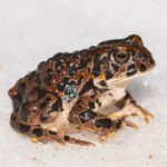 13346172_10100108122115945_1491110351375410384_o