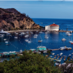 Screen Shot 2019-03-05 at 8.01.48 PM