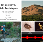 Screen Shot 2019-05-16 at 10.46.23 PM