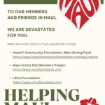 How to help Maui (1) (1) (1)
