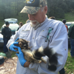 Untitled (5 x 5 in) (2)