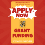 Yellow Orange Retro Colorful Now Hiring Job Flyer (5 x 3.5 in)