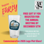 call for papers 2×2 square (1)