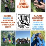 It’s giving tuesday