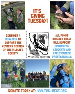 It’s giving tuesday