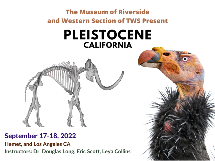 Pleistocene California Workshop – The Western Section of the Wildlife ...