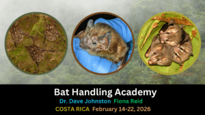 Costa Rica Bat Workshop