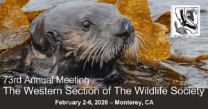 Monterey Otter Header Image for 2026 Mtg