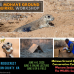 Screenshot 2026-02-11 150733