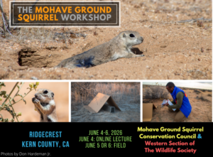 Screenshot 2026-02-11 150733