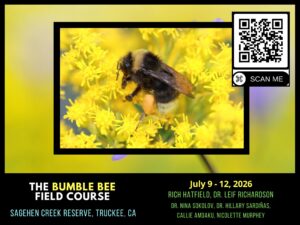 Bumble Bees
